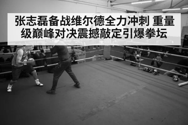 张志磊备战维尔德全力冲刺 重量级巅峰对决震撼敲定引爆拳坛